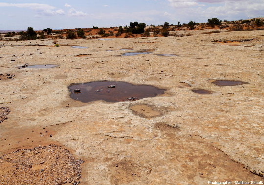 Waterpockets au sens strict à la surface des grès Navajo, à proximité de Mexican Water, Arizona