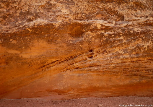 Taffonis sensu lato dans les grès Navajo du Parc national de Capitol Reef, au fond du canyon de Capitol Gorge