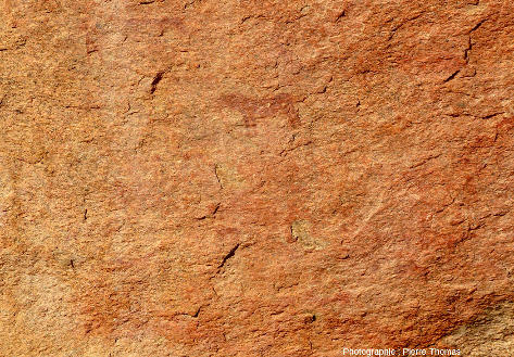 Zoom sur un petit “équidé” rouge peint sur une paroi granitique, Small Bushman Paradise (Namibie)