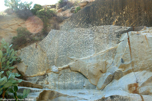 Fond de la carrière de granodiorite à San Piero in Campo (ile d'Elbe, Italie) montrant une structure qui ressemble à une gigadendrite