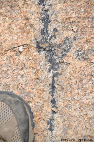 Zoom sur une accumulation locale de tourmaline au sein du filon de la figure précédente, granite de l'Erongo (Namibie)
