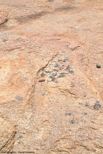 Vue rapprochée sur un filon étroit horizontal à tourmaline, granite de l'Erongo (Namibie)