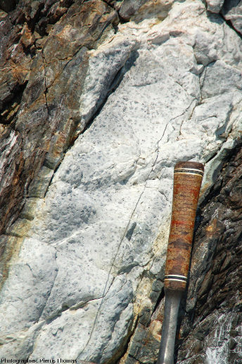 Un niveau de marbre contenant des sphérolites de wollastonite, Cap de Norsi, ile d'Elbe