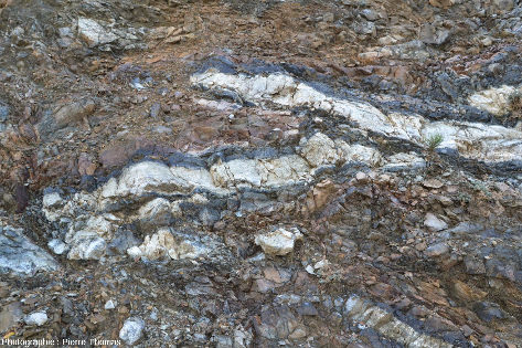 Poches et amas gabbroïques (roche claire) entourés de dunite (roche noire) au sein d'une harzburgite (roche orangée et grisâtre), dunite et harzburgite étant relativement serpentinisées, Troodos, Chypre