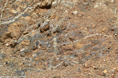 Réseau anastomosé de petits filons gabbroïques (roche claire) souvent entouré de dunite (roche noire) au sein d'une harzburgite (roche orangée et grisâtre), Troodos, Chypre