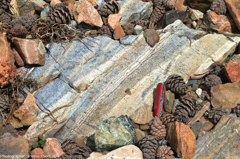 Vue rapprochée sur cette roche mantellique qui ressemble à une ”migmatite lit par lit”, Troodos, Chypre