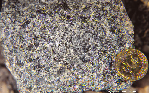 Gabbro à grains fins dans l'ophiolite d'Oman