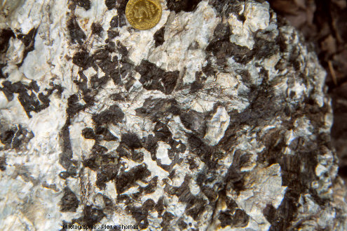 Gabbro à grains grossiers dans l'ophiolite d'Oman