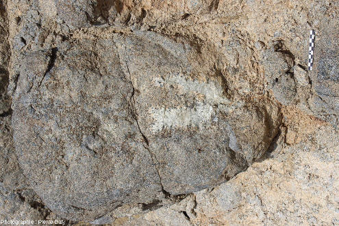 Variation de la taille des cristaux au sein d'un même bloc de gabbro isotrope de l'ophiolite de Chypre, Chandria