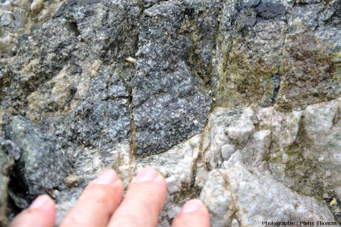 Gros plan sur le contact gabbro / plagiogranie, Palaiomylos, ophiolite de Chypre