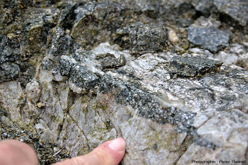Fragment de gabbro enclavé dans du plagiogranite à quelques cm du contact, Palaiomylos, ophiolite de Chypre