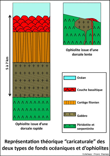 Schémas théoriques très simplifiés des deux types extrêmes de fonds océaniques et d'ophiolites  : les fonds océaniques issus de dorsales rapides (à gauche) ou lentes (à droite)