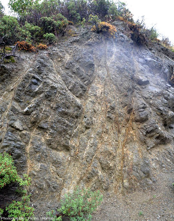 Filons particulièrement hydrothermalisés au sein du cortège filonien de l'ophiolite de Chypre