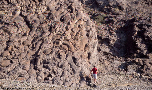 Détail de la partie droite des pillow lavas de l'affleurement “Geotimes”, wadi Al Jizi, Oman