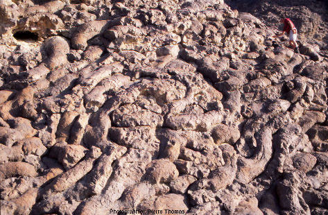 Détail sur des basaltes en coussins de l'affleurement “Geotimes”, wadi Al Jizi, Oman
