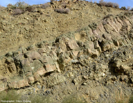 Détail de la coulée basaltique sans pillow près de Kato Moni, ophiolite de Chypre