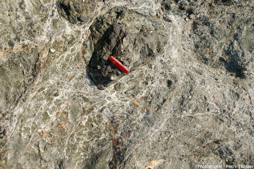 Brèche serpentineuse (ophicalcite) d'origine tectonique très probable (associées à une faille de détachement), ile d'Elbe