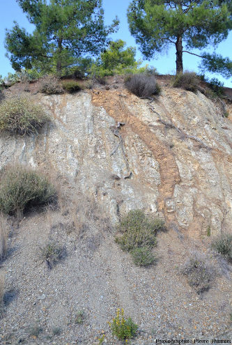 Autres filons de basalte (colorés en brun par l'hydrothermalisme) recoupant un cortège filonien plus ancien, au Sud d'Arakapas dans l'ophiolite de Chypre