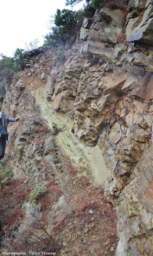 Filon verdâtre très hydrothermalisé dans une partie basculée (par de la tectonique) du cortège filonien de l'ophiolite de Chypre, près de Lemithou