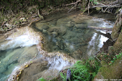 Le ruisseau du Flon, dans le Bugey calcaire