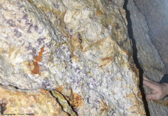 Paroi d'une galerie montrant une belle pegmatite à lépidolite, mica mauve violacé de formule K(Li,Al)3(Si,Al)4O10(F,OH)2