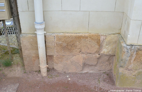 Grès calcaire riche en traces de terriers visible à la base d'une maison de Thouars