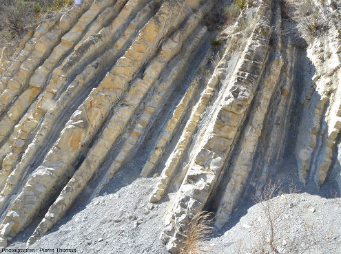 Détail des alternances marno-calcaires de la coupe de La Charce (Drôme)