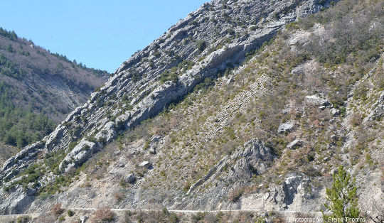 Vue du Jurassique supérieur dans la vallée du torrent d'Arnayon
