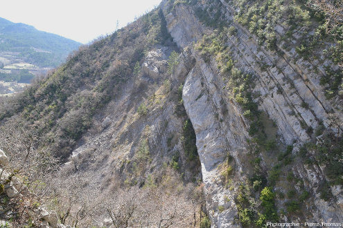Vue d'ensemble de la limite calcaire tithonique (Tithonien et Kimméridgien supérieur, en haut) / alternances marno-calcaires du Kimméridgien inférieur (en bas)