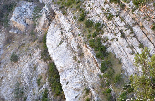 Vue de détail de la limite calcaire tithonique (Tithonien et Kimméridgien supérieur, en haut) / alternances marno-calcaires du Kimméridgien inférieur (en bas)