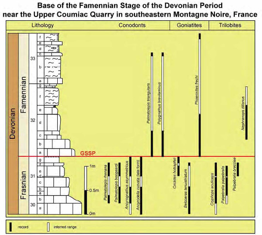 Stratigraphie détaillée du sommet du Frasnien et de la base du Famennien de la carrière de Coumiac (Hérault)