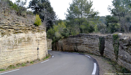 Vue d'ensemble d'une tranchée de route 200 m au Sud de Saumane de Vaucluse montrant des coupes différemment orientées dans les stratifications obliques