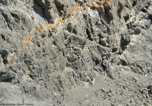Paroi verticale de la carrière entaillée dans des brèches volcaniques et recoupée par de nombreux filons d'aragonites sub-horizontaux