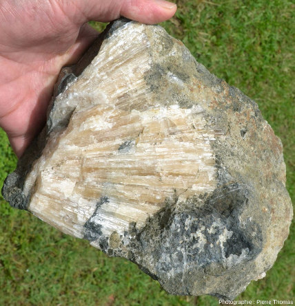 Échantillon à cristallisations d'aragonite, vue 1/3, carrière de Monclaret (Loire)