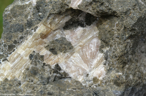 Détail des cristallisations d'aragonite du centre de la figure précédente