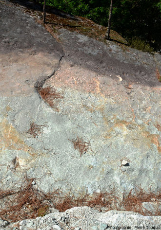Un autre secteur de la dalle de grès d'Ucel (Ardèche) montrant des traces de dinosaures et des figures de dessiccation