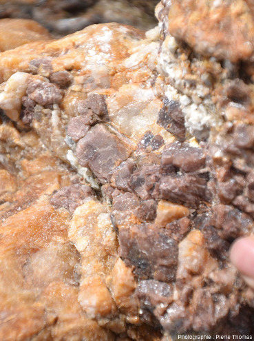 Gros plans sur une lentille de quartz d'exsudation à andalousite dans la schistosité des micaschistes de la plage de Rayol (Var)