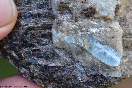 Beau disthène dans une lentille de quartz incluse dans un micaschiste très riche en biotite, Le Lavandou (Var)