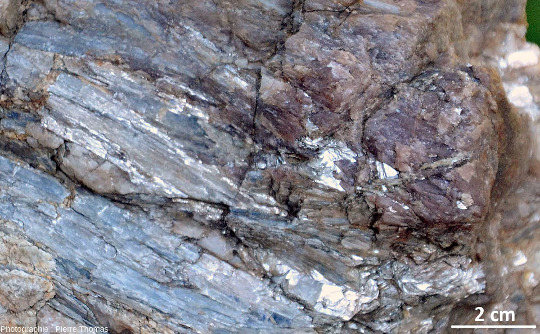 Amas de disthène bleu en train de se transformer en andalousite rose dans une lentille de quartz au sein des micaschistes des Maures, Le Rayol-Canadel-sur-Mer (Var)