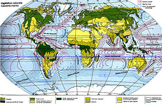 Carte des courants marins et des grands types d'écosystèmes végétaux