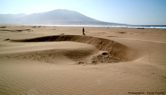 Champ de dunes de type barkhanoïde, intermédiaires entre des dunes classiques et des barkhanes, Pérou