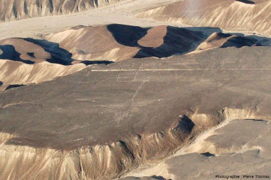 Vue détaillée sur le plateau au « colibri », ses rebords dus à l'érosion, ses “pistes”, Pérou