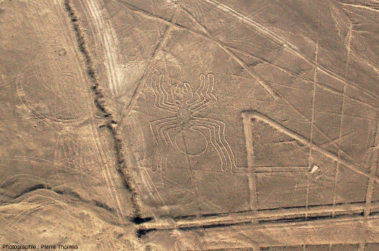 L'« araignée », vue rapprochée, géoglyphe du plateau de Nazca, Pérou