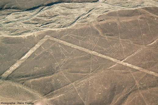 La « baleine », vue générale, plateau de Nazca, Pérou
