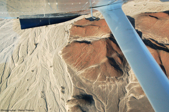 Le « cosmonaute », vue générale, plateau de Nazca, Pérou