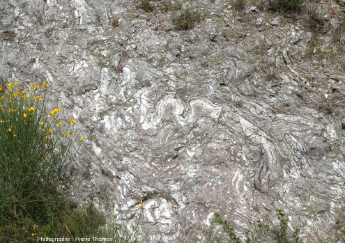 Vue de détail de microplis très disharmoniques et à faible rayon de courbure affectant des gypses oligocènes dans le bassin de l'Èbre, sur le bord de la Route Nationale 121, 60 km au Sud de Pampelune (Navarre, Espagne)