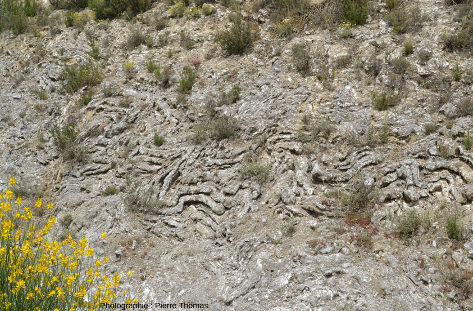 Vue de détail de microplis très disharmoniques affectant des gypses oligocènes dans le bassin de l'Èbre, sur le bord de la RN121, 60 km au Sud de Pampelune (Navarre, Espagne)