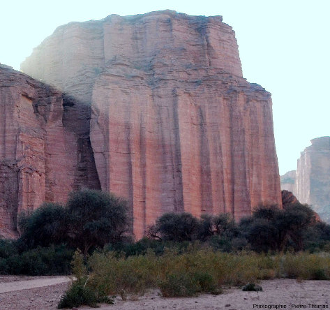 Vue de détail de la rive droite du canyon du rio de Talampaya (Argentine), 1 km avant son débouché aval