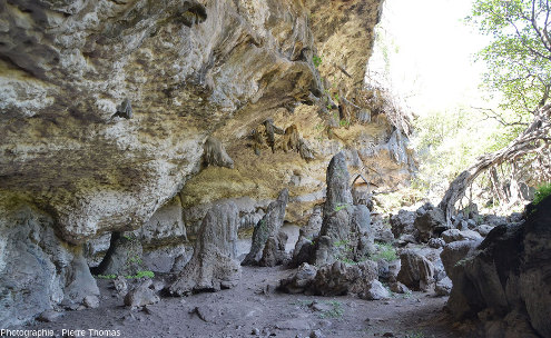 Vue globale de l'abri sous roche où on trouve ces stalactites penchées se dirigeant vers la “sortie”, c'est-à-dire vers la lumière, vallée du Wadi Darbat (Oman)