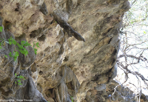 Vue sur une autre stalactite, avec un pendage d'au moins 45°, vallée du Wadi Darbat (Oman)